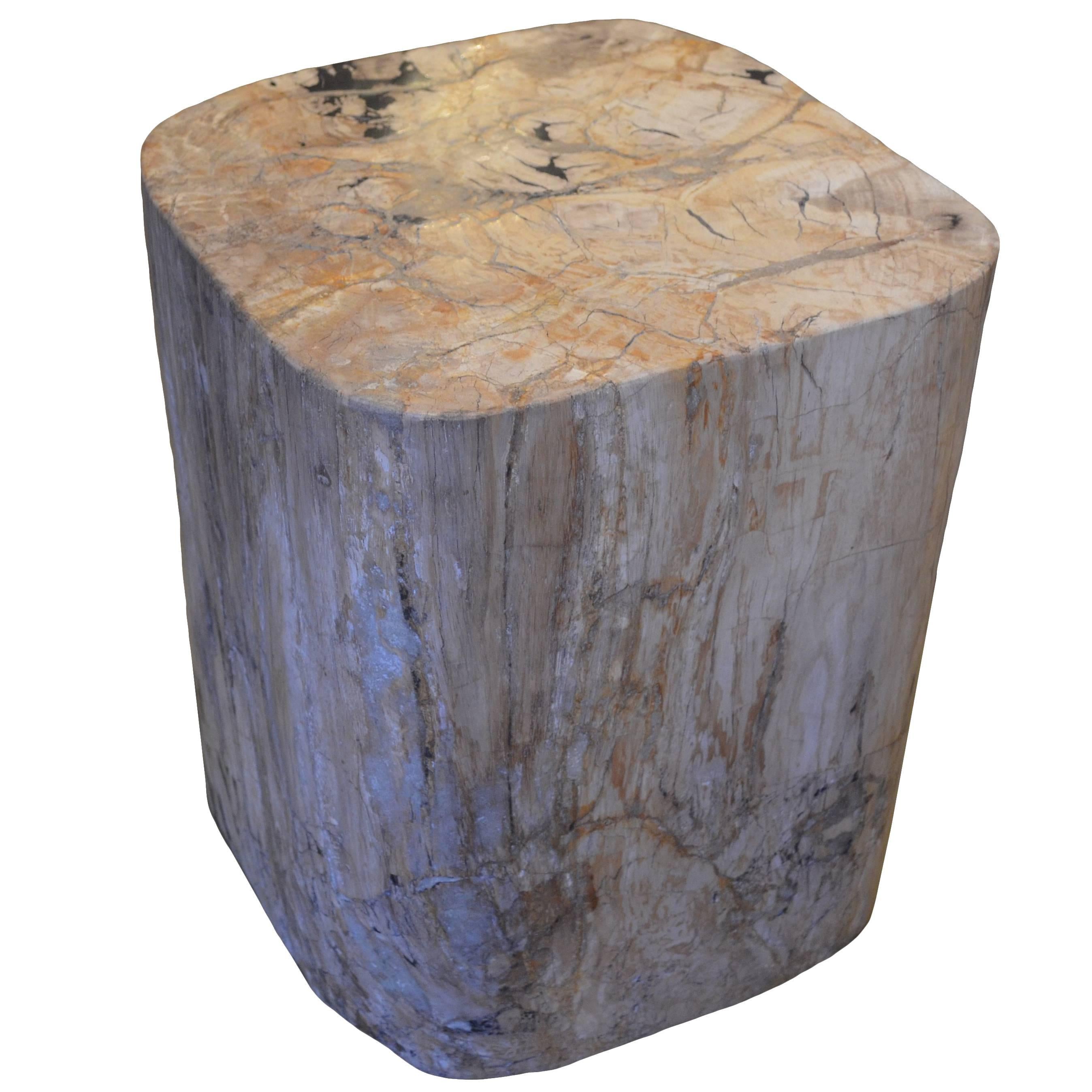 Andrianna Shamaris Petrified Wood Side Table