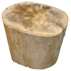 Petrified Wood Side Table 7