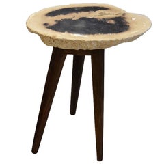 Andrianna Shamaris Palm Petrified Wood Side Table