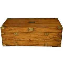 Early Victorian Camphor Wood Trunk