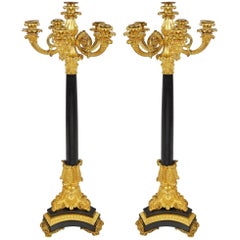 Pair of Louis XVI Style Candelabra