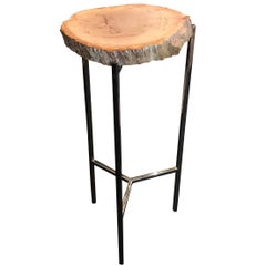 Petrified Wood Slice Cocktail Table, Indonesia, Contemporary