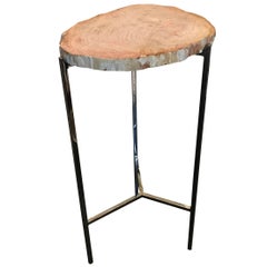 Petrified Wood Slice Cocktail Table, Indonesia, Contemporary