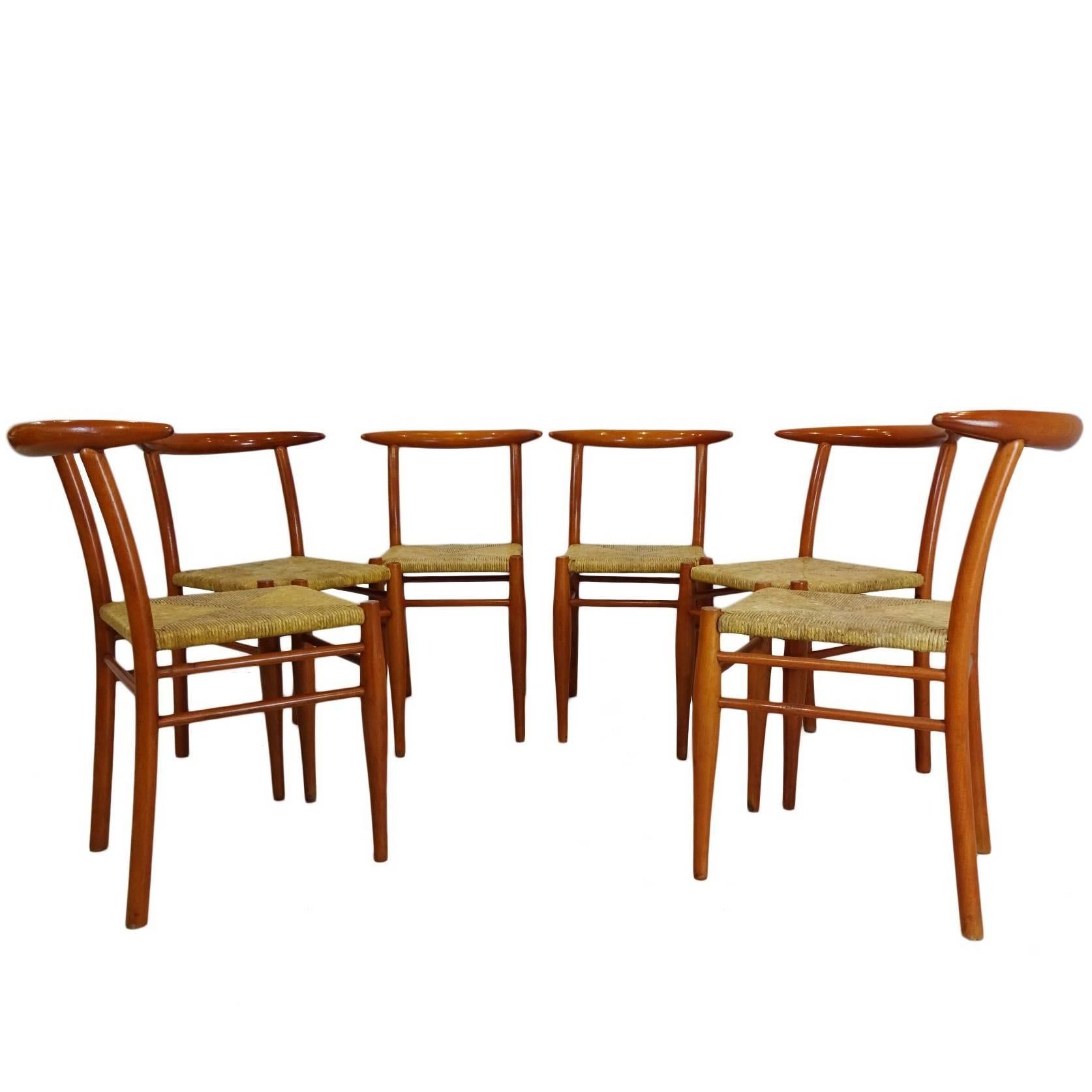 Rare and Unusual Set of Philippe Starck Aleph Tessa Nature Chairs for Driade For Sale