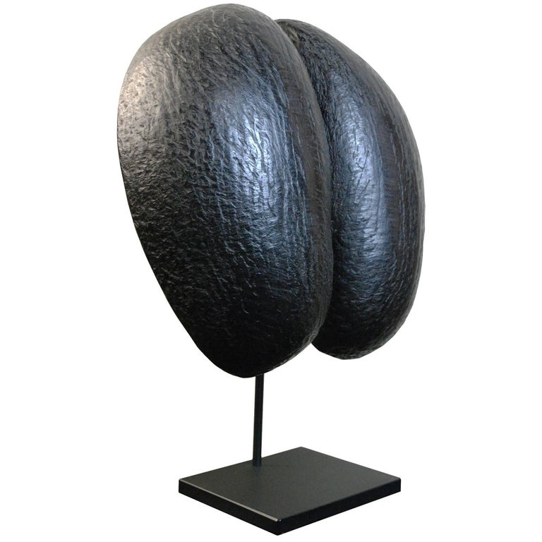 19th Century Half Coco De Mer on Stand at 1stDibs