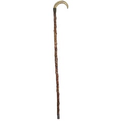 Antique Walking Stick 