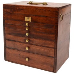 Victorian Collector's Cabinet, circa 1880