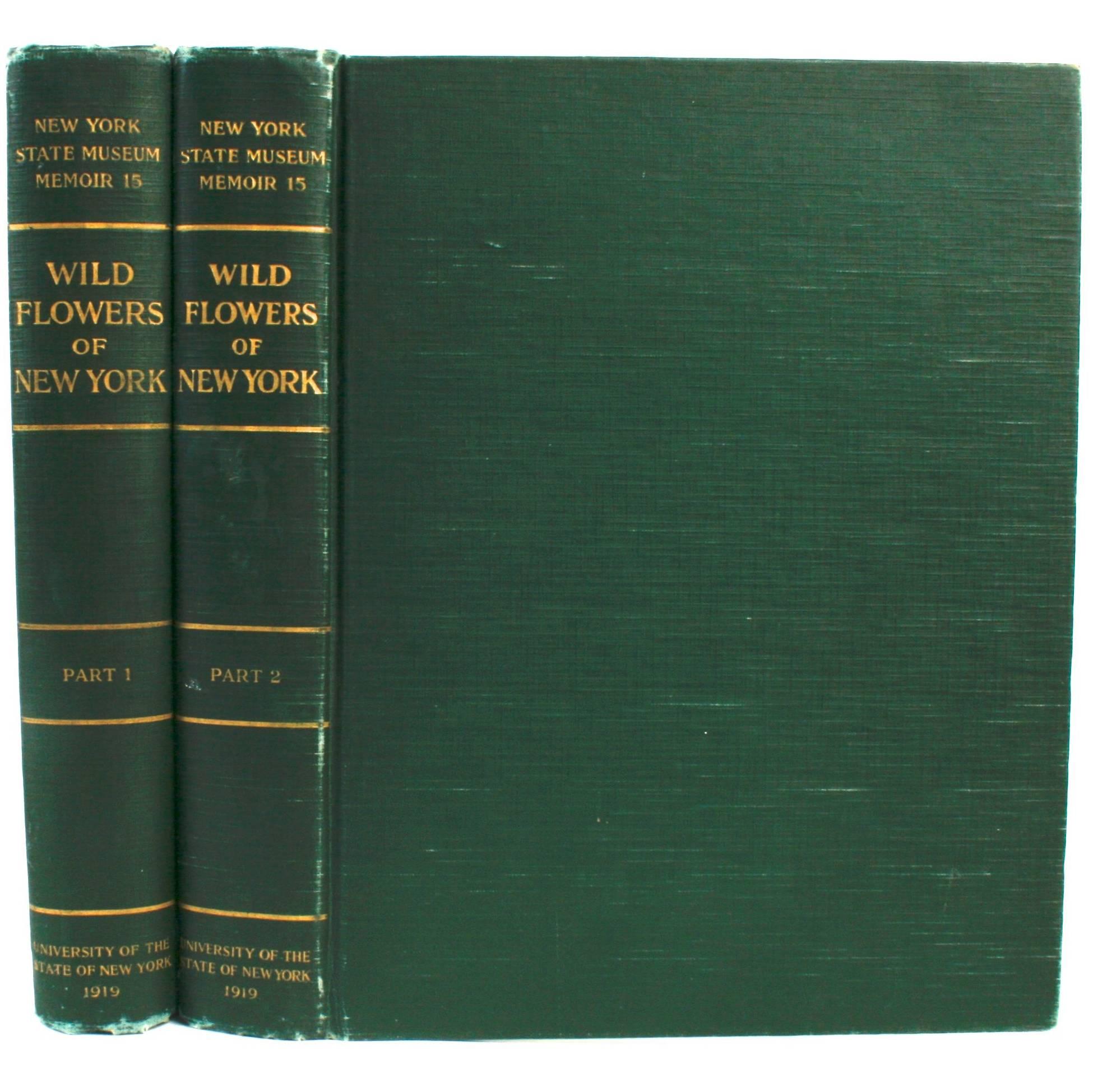 Wild Flowers of New York Vol. (Fleurs sauvages de New York) Homer D. House et John M. Clark, I et II en vente