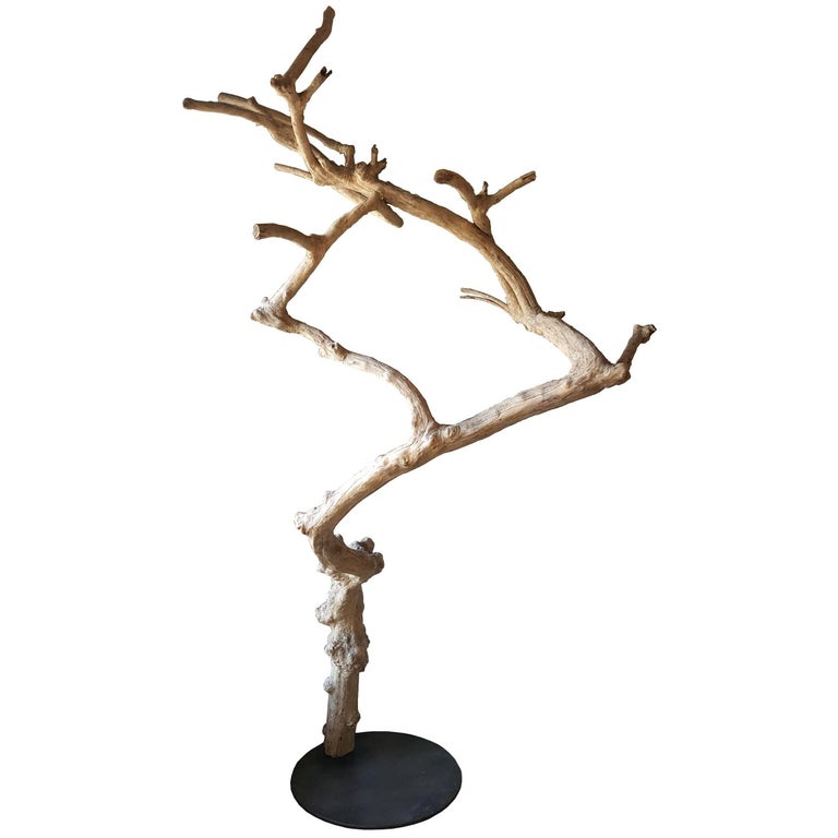 Monumental Curly Maple Tree Sculpture For Sale at 1stDibs