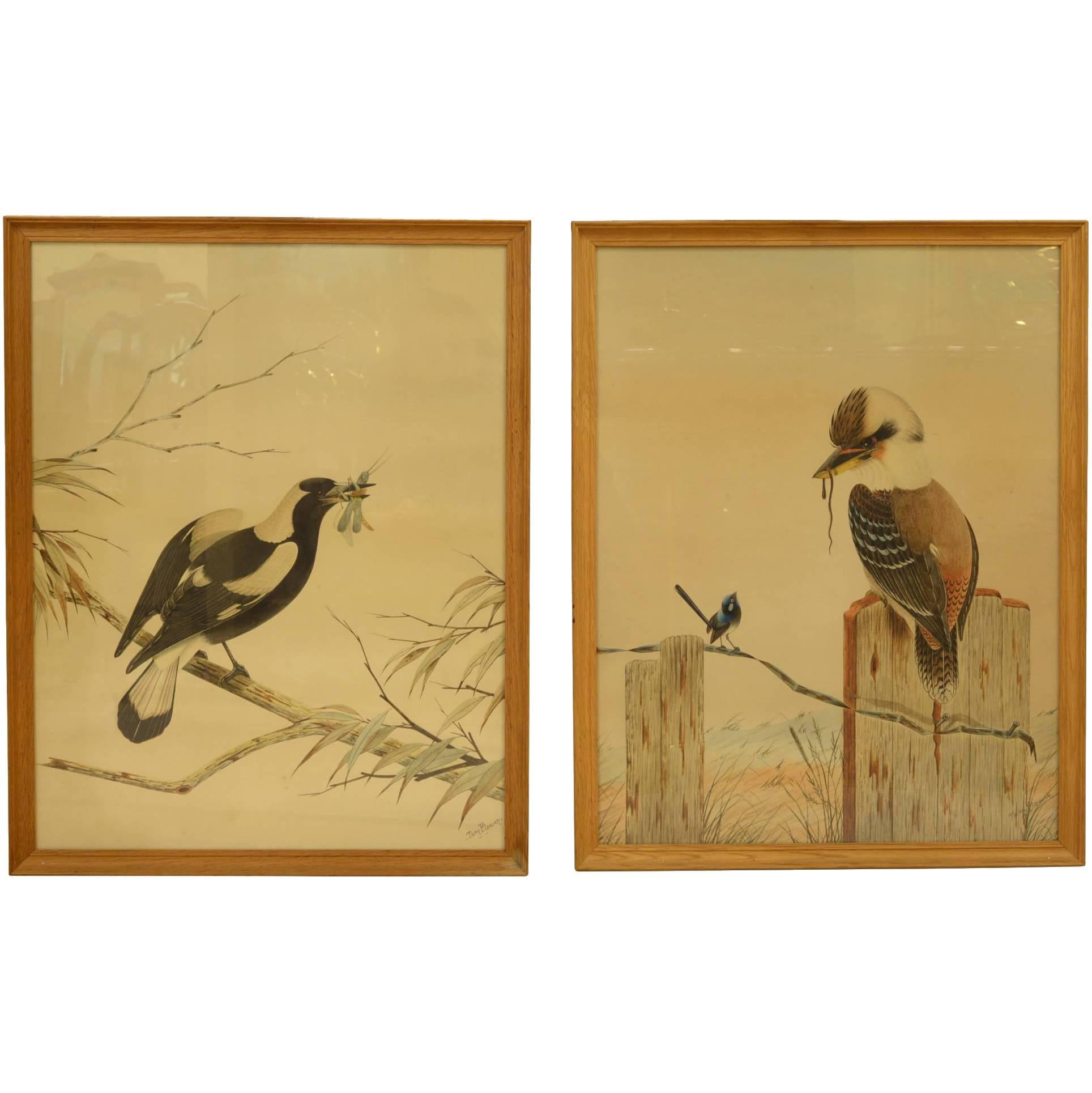 Pair of Australian Watercolors by Tom Howers For Sale