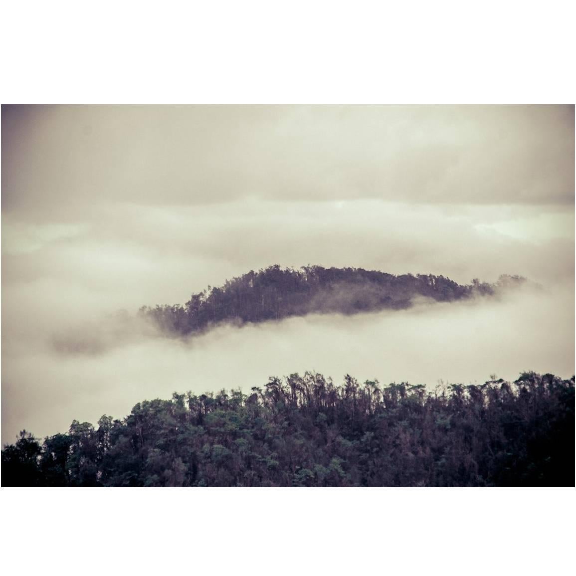 Brume / Photography - 27” x 18” / Unframed For Sale