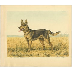 Set of Three Antique Etchings of Dogs by P. Wood, circa 1935