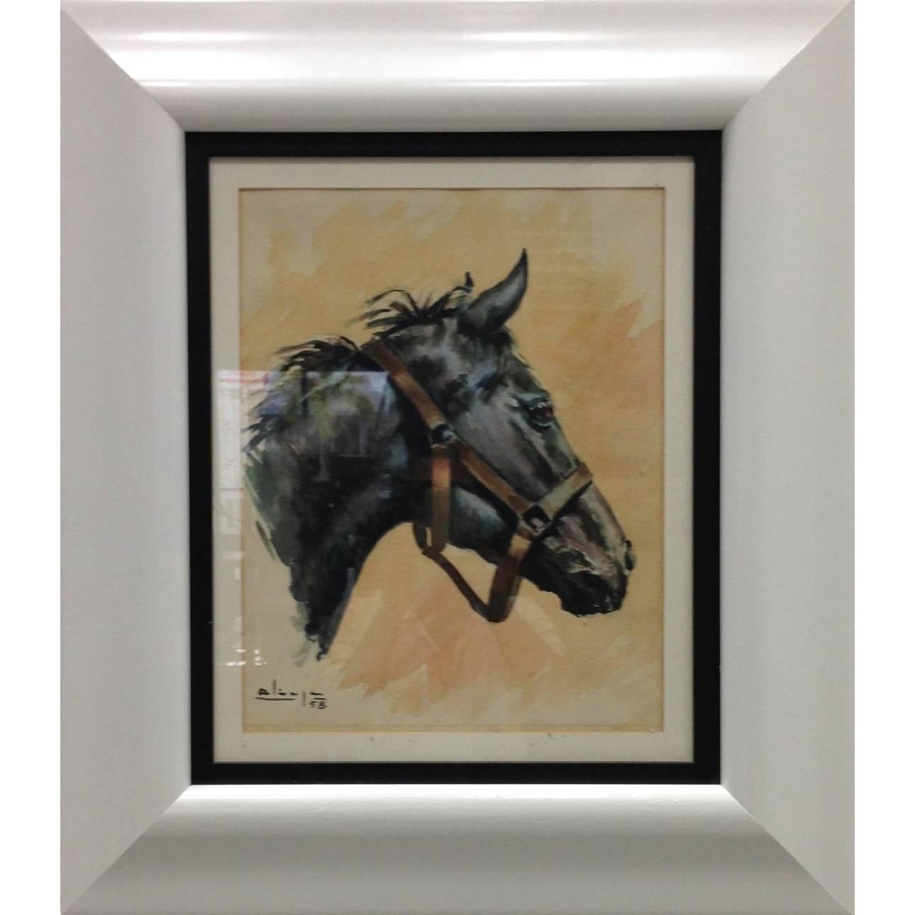 Spanish Horse Portrait, 1958 Aliaga, Spain For Sale