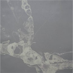 BCXSY Microcosmos Shift Wallpaper or Wall Mural in Matte Bubbles