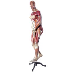 Full Size Dr. Auzoux Female Anatomical Model