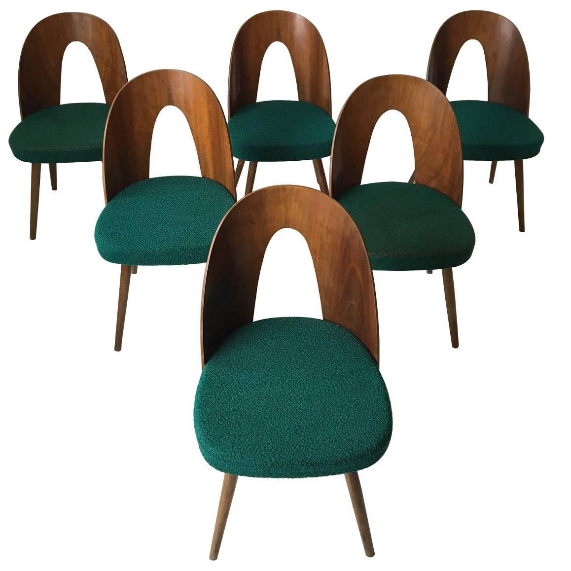 Set of Six Most Green Dining Room Chairs by Antonin Suman for Zilina. SALE!