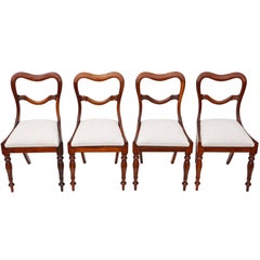 Antique Quality Set of Four William IV Rosewood Balloon Back Dining Chairs