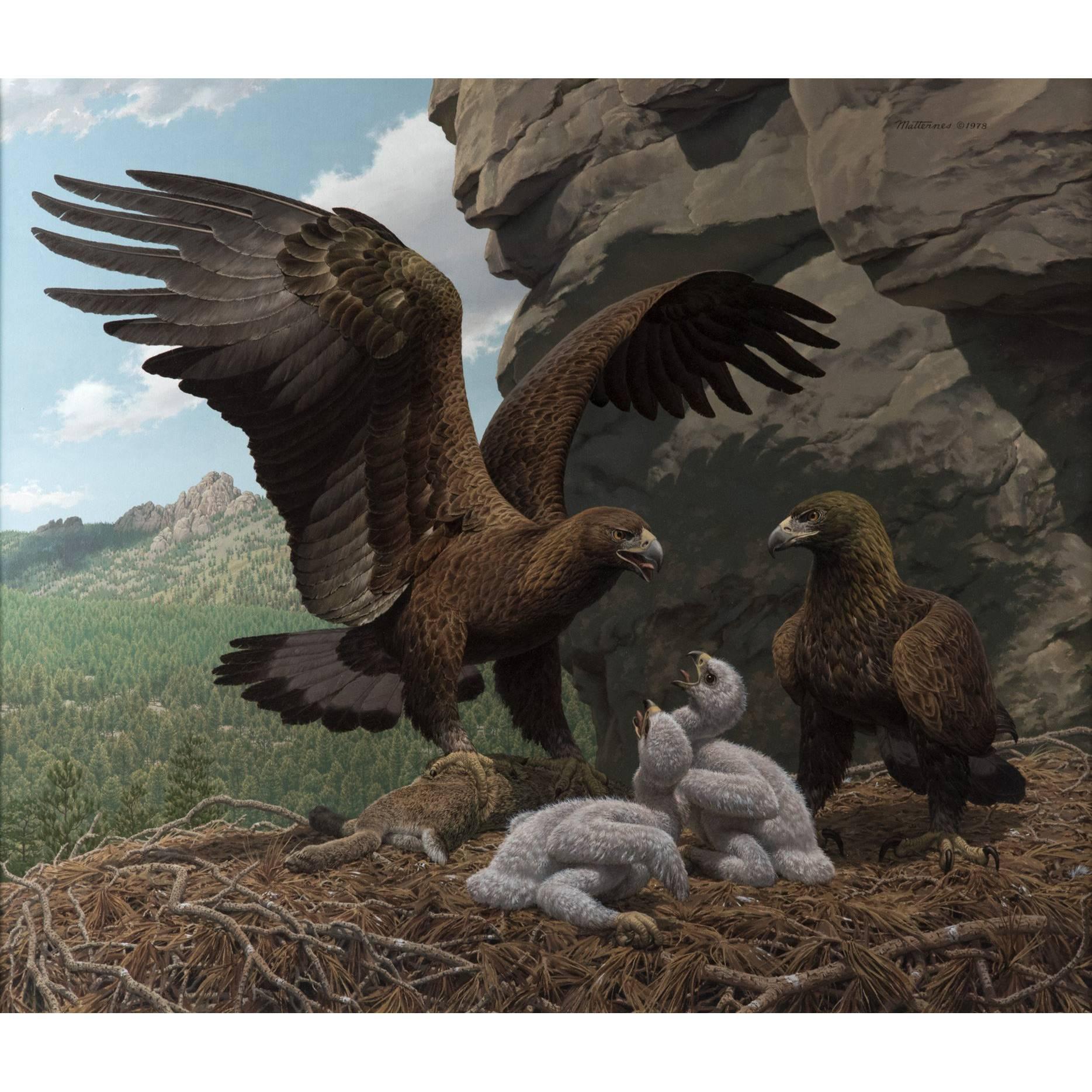 "Golden Eagles in Eyrie" by Jay Matternes For Sale