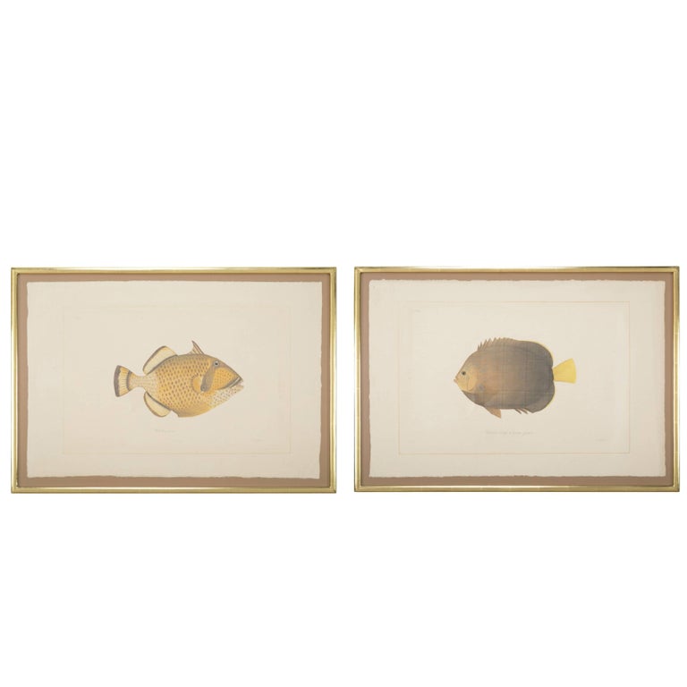 La Roche Laffitte Handpainted Fish on Silk La Roche Laffitte Handpainted Fish on Silk