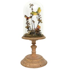 Antique Wunderkammer Natural Diorama with Butterflies and Flowers. Italy, circa 1880