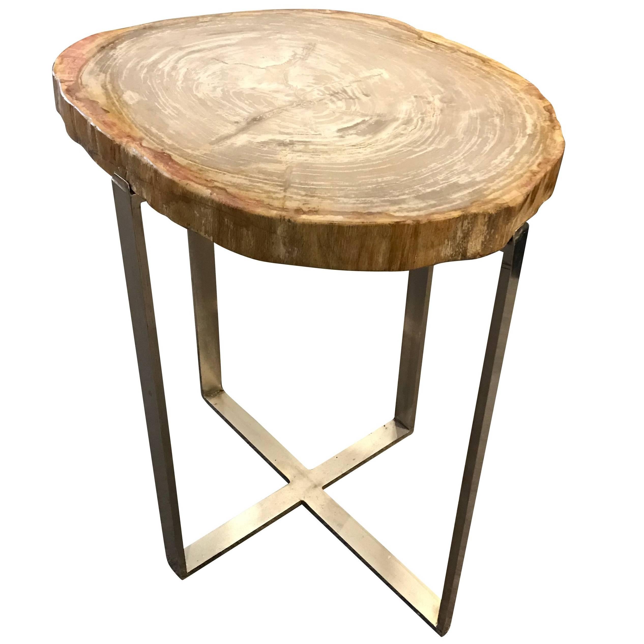 Sliced Taupe Petrified Wood Top, Nickel Base Side Table, Indonesia, Contemporary