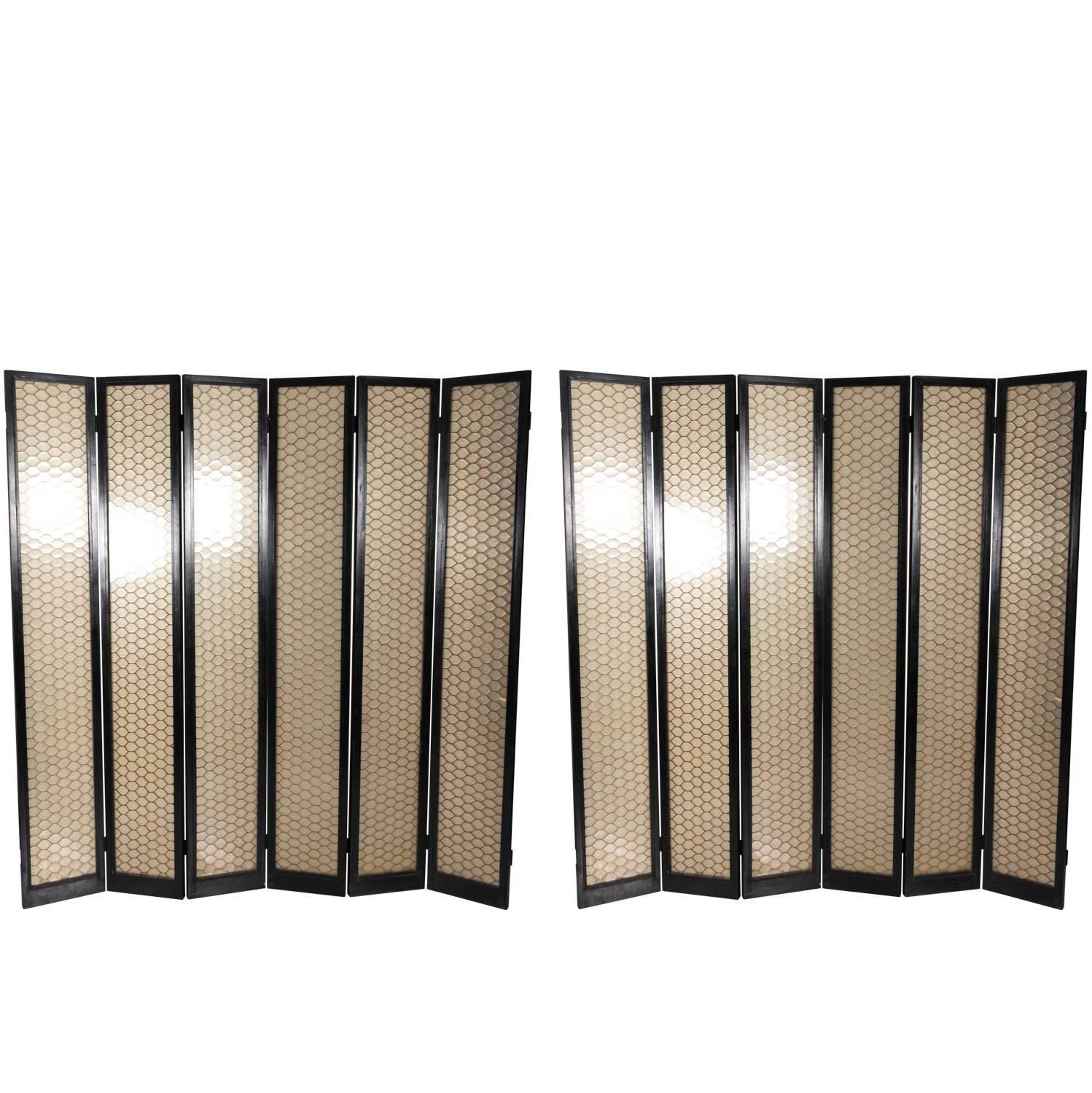 Black Lacquered Wood and Lucite Screen