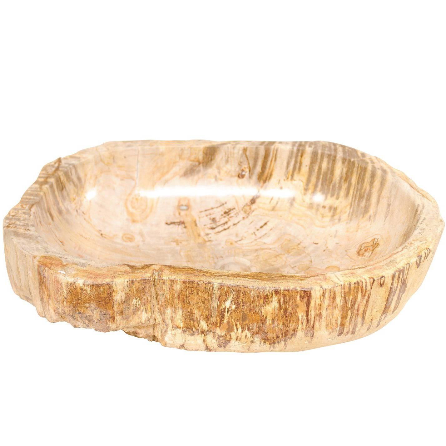 An Oval Shaped Petrified Wood Sink with Polished Basin and Live-Edge Exterior For Sale