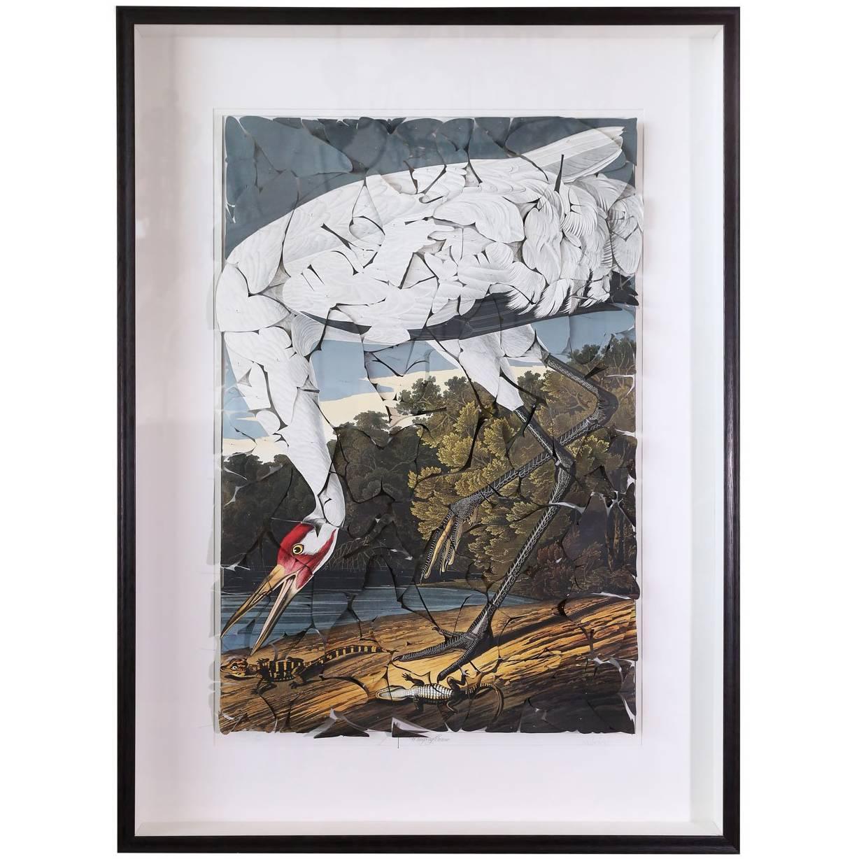 Butterfly Box Whooping Crane Print