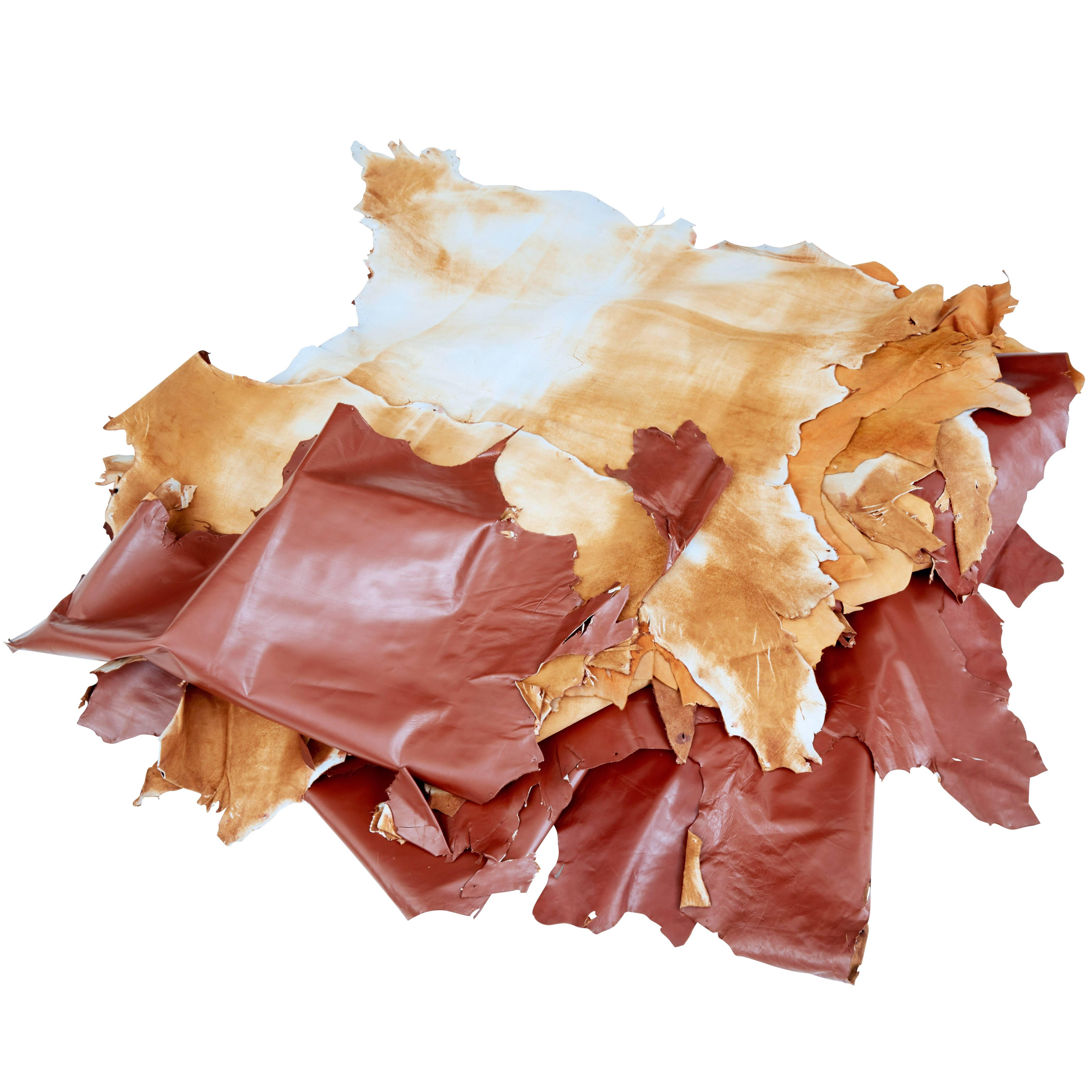 16 Cowhides for Upholstery or Decoration For Sale