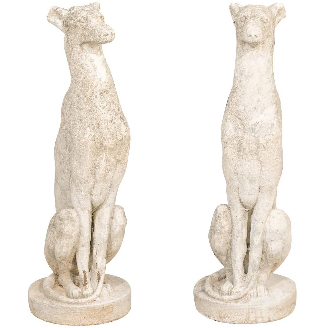 Pair of Vintage Carved Cement Greyhound Sculptures Sitting on Circular Bases