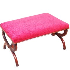 Antique 19th Century Mahogany Salon Stool