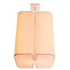 Contemporary Ozone Brasilia S Ceiling Light with White Shade 