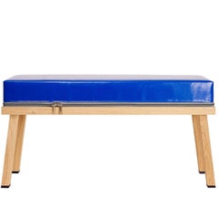 Visser and Meijwaard Truecolors Bench in Blue PVC Cloth with Zipper Visser and Meijwaard Truecolors Bench in Blue PVC Cloth with Zipper