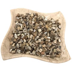 Collection of Mother-of-Pearl Shells, Brazil, Contemporary