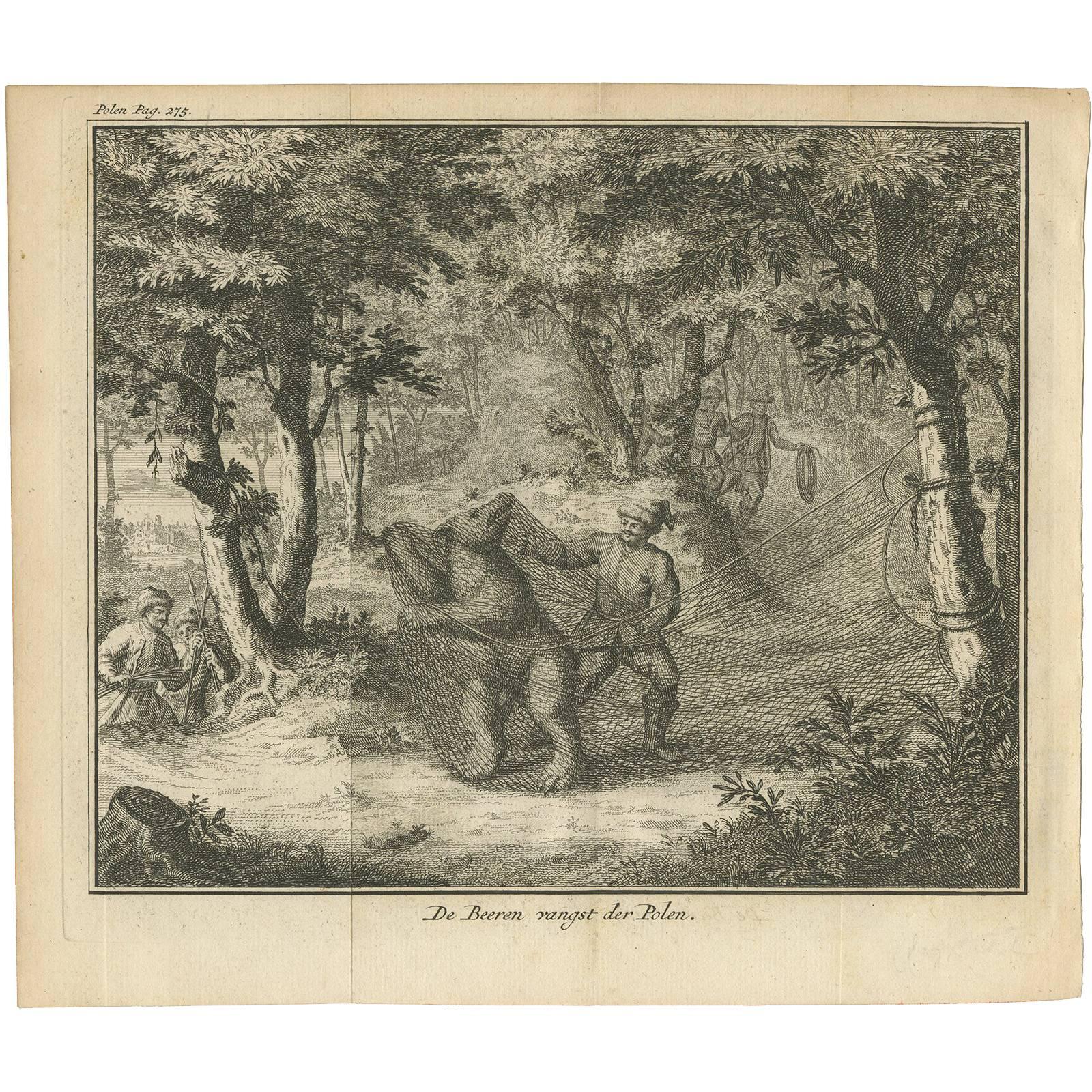 Antique Print of Bear Catching in Poland by I. Tirion, 1734 For Sale
