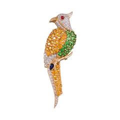 Gemstone Gold Parrot Brooch
