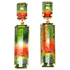 Peter Suchy Tourmaline Gold Dangle Earrings 2