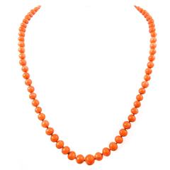 Antique Coral Bead Necklace