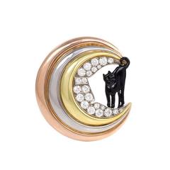 Retro Enamel Diamond Gold Cat and Moon Brooch 12
