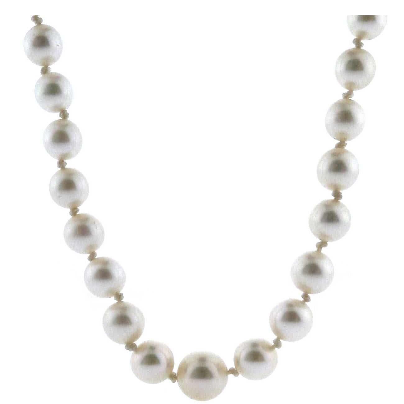 Strand of Graduated Mikimoto Cultured Pearls with Silver Clasp