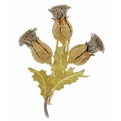 Mario Buccellati Gold and Silver Thistle Brooch