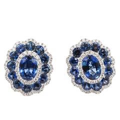 18 Karat White Gold Gregg Ruth Sapphire Earrings 9