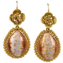 Pair of Georgian Cowrie Shell Gold Earrings