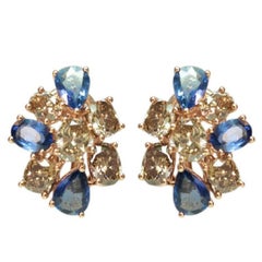 Antique Sapphire Diamond Gold Cluster Earrings at 1stdibs