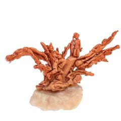 Luise Coral Stone Sculpture 5