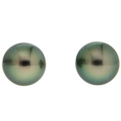 Tahitian Pearl Earring Studs 6