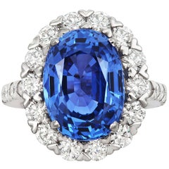 Tivon Heirloom large Platinum Diamond and Ceylon Sapphire Classic Cluster Ring