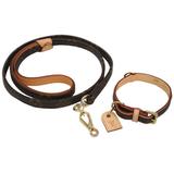Dog Leash Collar - 7 For Sale on 1stDibs