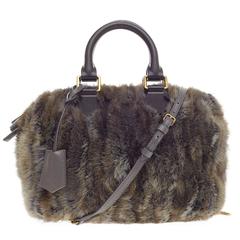 Louis Vuitton Speedy Limited Edition Caresse Mink 25