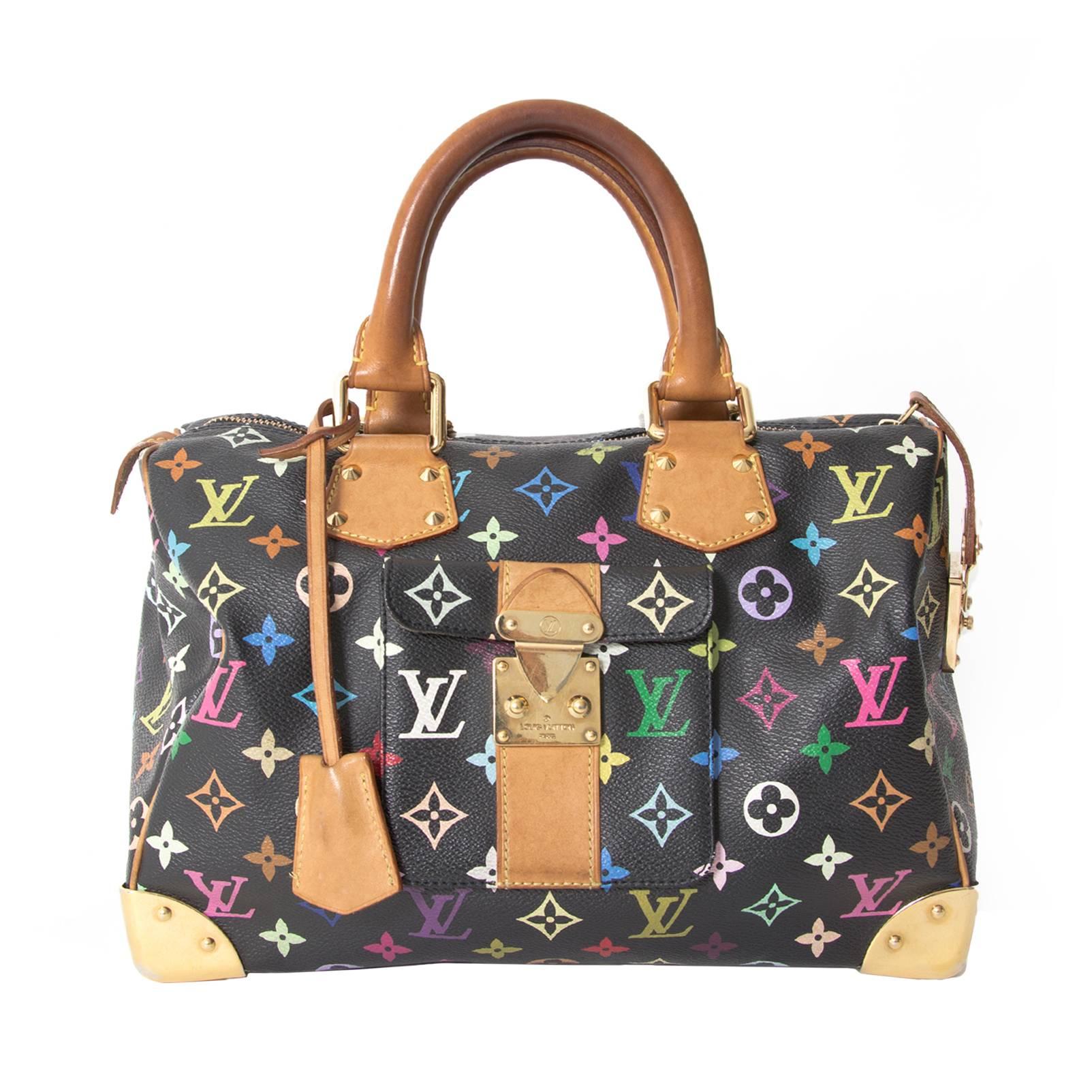 Louis Vuitton Murakami Monogram Multicolore Canvas Speedy